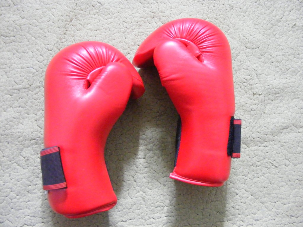 Sparring Gloves